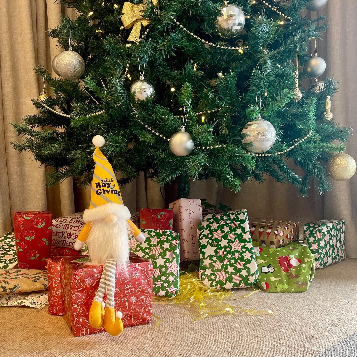 Ray White's Christmas charity drive, A Little Ray of Giving. Photo supplied