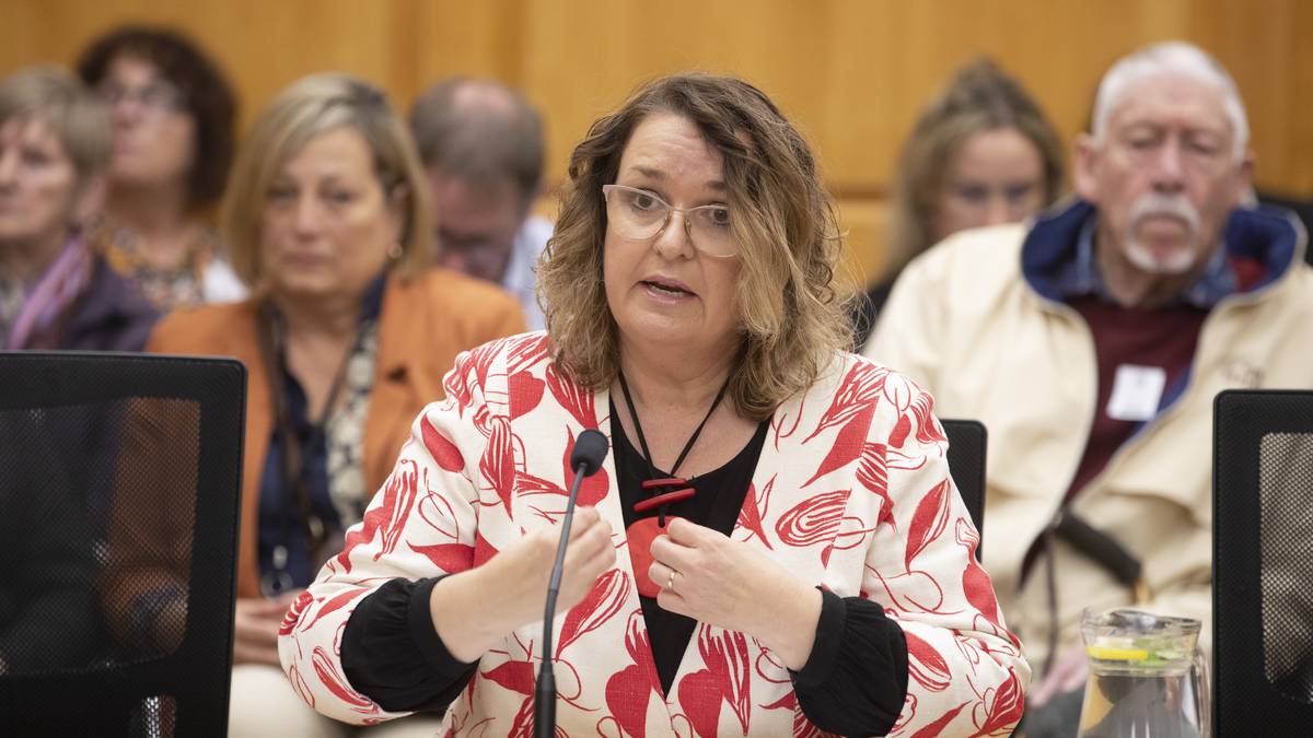 Embattled Education Minister Jan Tinetti grilled by Parliament’s powerful privileges committee