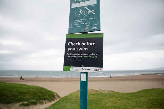Check before you swim. Photo / Sylvie Whinray
