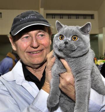 Award Winning Kitten Can Claim Royal Connections Nz Herald