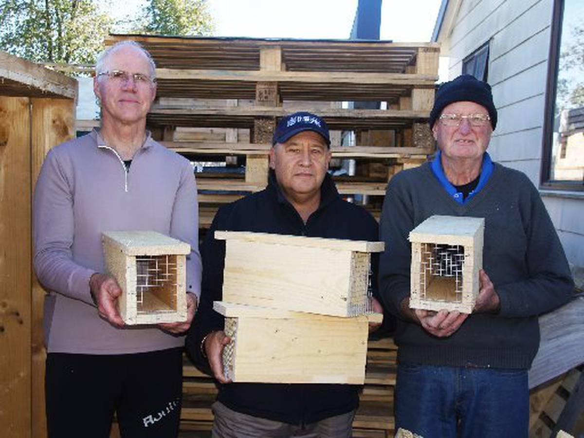 Waikato Corrections And Doc Working Towards A Predator Free