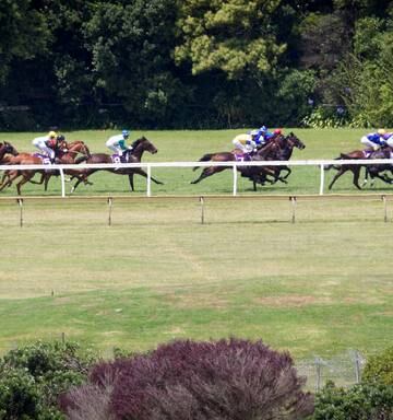 Racing Tough Rules To Combat Coronavirus Nz Herald