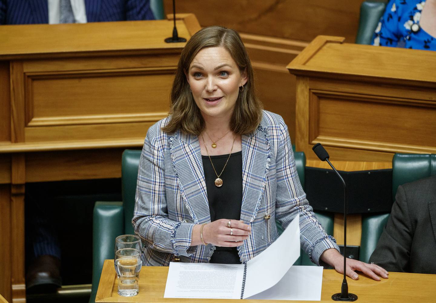 Napier MP Katie Nimon spoke about her family's history in her maiden speech. Photo / Mark Mitchell
