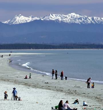 Best Things To See And Do In Stoke Nz Herald