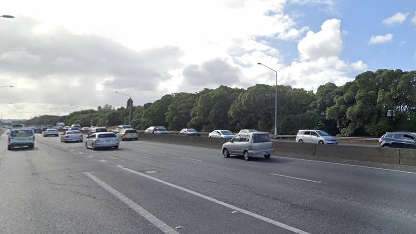 Auckland's Southwestern Motorway, where a man and his brother chased a couple with young children before shooting at the car. Photo / Google