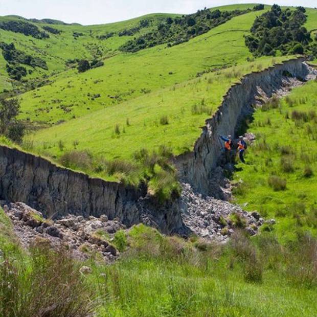 At Kekerengu Fault in Marlborough, near Waiau, the land was raised in some places by 12 meters. Photo / Kate Pedley
