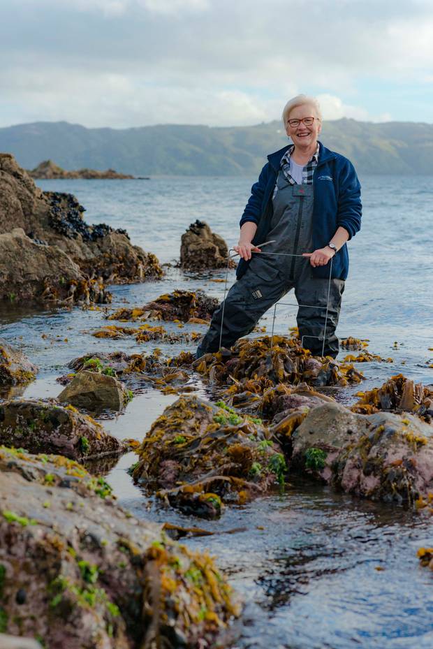 Dr Wendy Nelson, a principal scientist at Niwa, co-authored a paper exploring the potential of commercial seaweed farming in mitigating global carbon dioxide levels. Photo / Dave Allen, NIWA