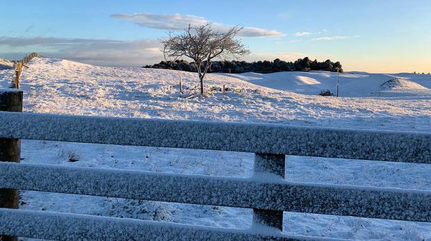 Snow at a Mamaku property this morning. Photo / Bron Fleet