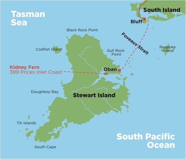 Map showing the location of the cottage on Stewart Island. Photo / Supplied 