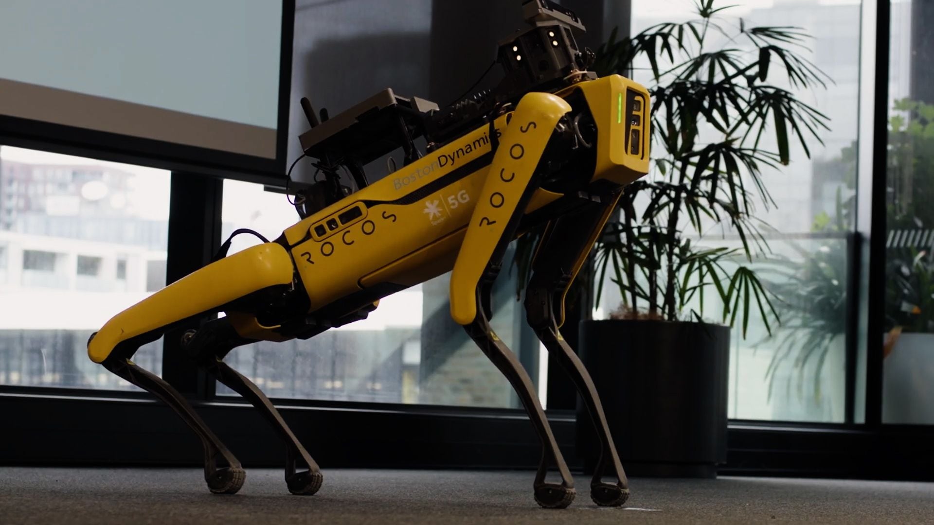Unleash the hounds: NZ robotics firm Rocos sold to US company NZ
