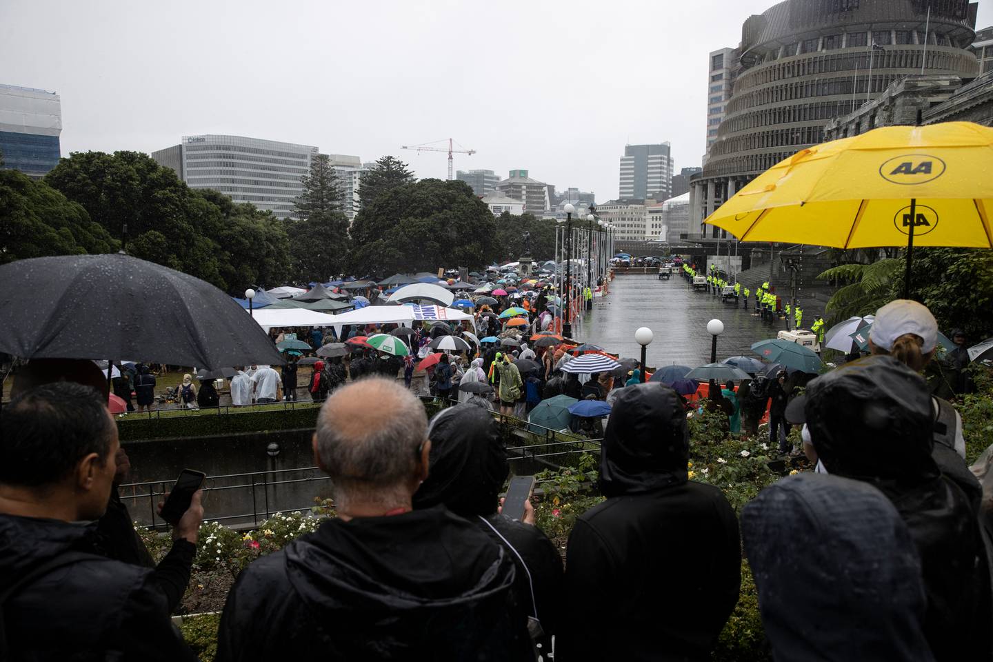 It was a sodden day at Parliament but protest numbers still continued to swell. Photo / George Heard