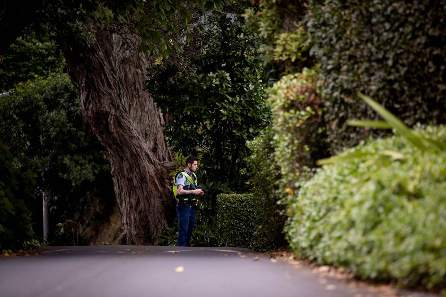Police and forensic units at a home in the Auckland suburb of Remuera. Photo / Dean Purcell