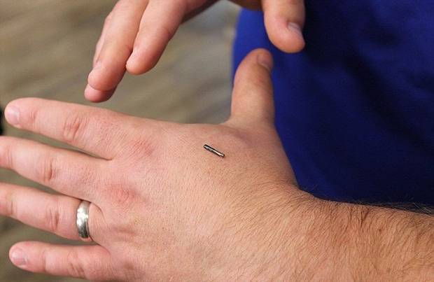 About 80 of the 250 employees at Three Square Market in River Falls in Wisconsin have had this RFID microchip implanted in their hands. Photo / Three Square Market 