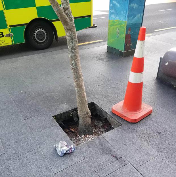 The open tree surround on Broadway in Newmarket where an elderly man fell hitting his head and knocking himself unconscious. Photo / Supplied