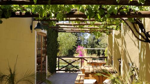 Gardening Fruit Of The Vine Nz Herald
