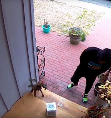 A Porch Pirate Glitter Bomb Video Brought Christmas Schadenfreude