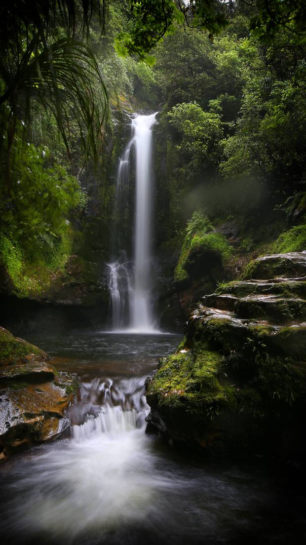The Inside Story Just How Safe Are Our Swimming Spots Nz Herald
