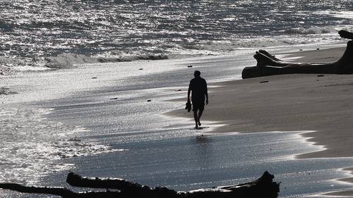 Entrails Dumped In Wanganui Beach Stream Nz Herald