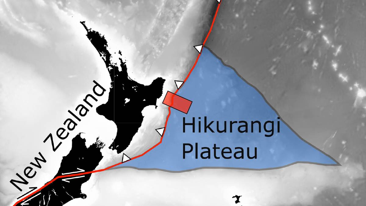 Des scientifiques ont découvert un immense réservoir sous-marin près de la plus grande zone de rift de Nouvelle-Zélande
