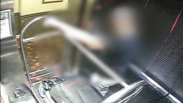 The accused put Millane's body in a suitcase, which he later buried in the Waitakere Ranges.