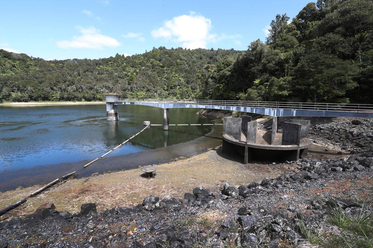 Recent rain no saviour for drought-stricken Northland - New Zealand Herald