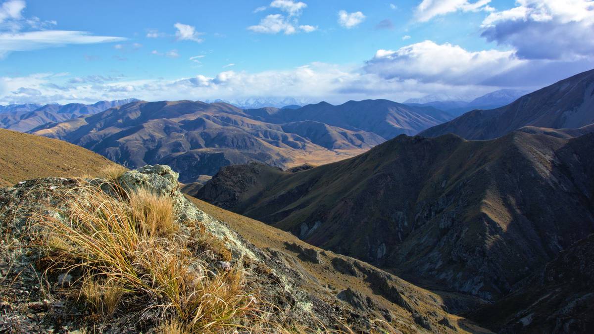 Group involved in midnight rescue from South Island mountain