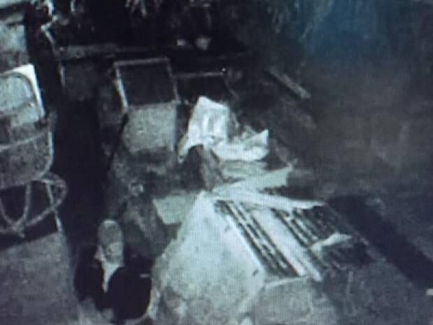 Police released this CCTV image of a man stealing rabbits in 2016. Photo / Supplied