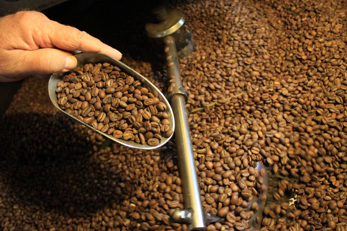 Coffee growing. Коста рика кофейные плантации. Coffee growing. Coffee growing. Coffee growing.