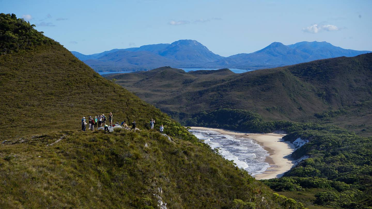 Overlooking Bramble Cove on the Mt Milner hike. Photo / Coral Expeditions, Supplied