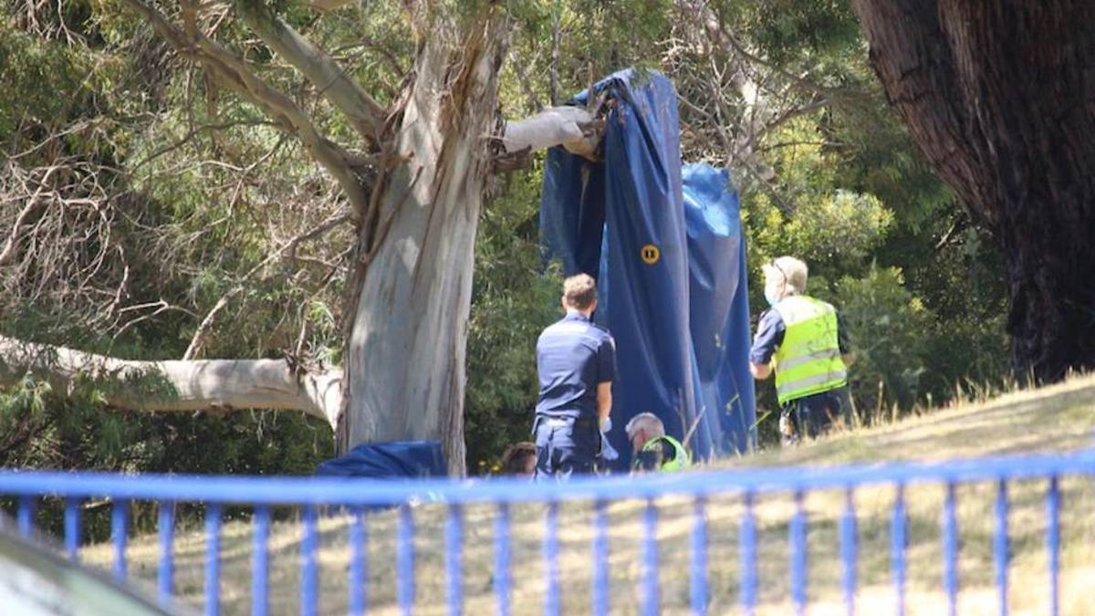 Dwoje dzieci zabitych i ciężko rannych w chaosie nadmuchiwanego zamku w szkole podstawowej Tasmania