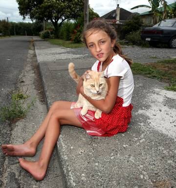 Pet Cat Mauled To Death Nz Herald
