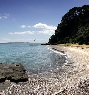 Auckland nudist beach Ladies Bay set to unveil name options ...