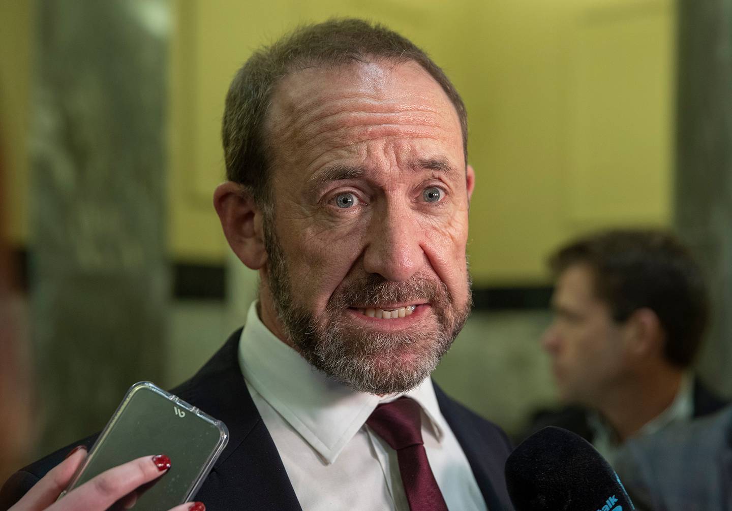 Andrew Little's law change came in earlier this month. Photo / Mark Mitchell