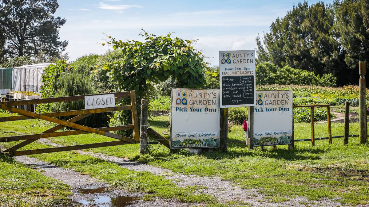 La communauté de Hastings « soulevée en armes » après le vandalisme du jardin de ma tante