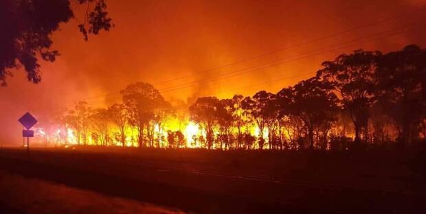 The holiday park was evacuated when flames reached the trees on the other side of the road. Photo / BIG4 Colonial Holiday Park
