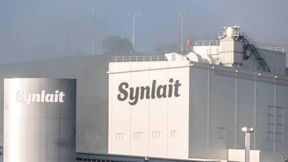 Synlait puts Dairyworks, Talbot up for sale to pay down debt