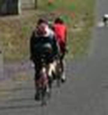 Queensland Spin In The Saddle Nz Herald
