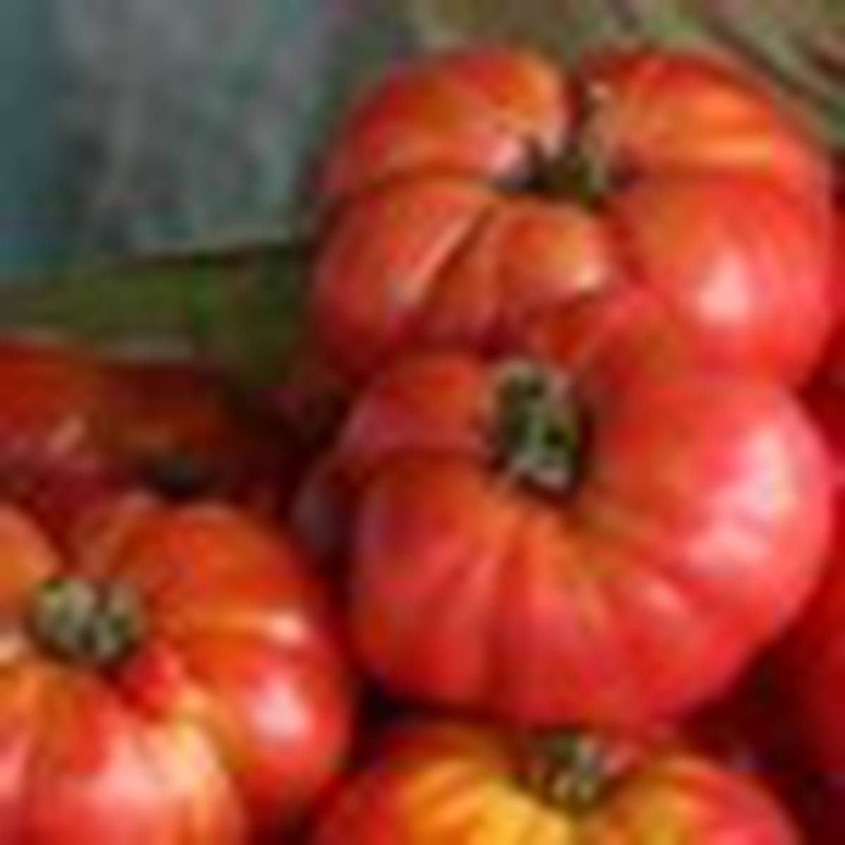 Gardening Greener Fingers Nz Herald