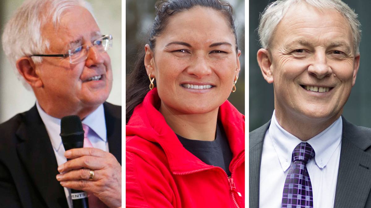New Year Honours The complete list NZ Herald
