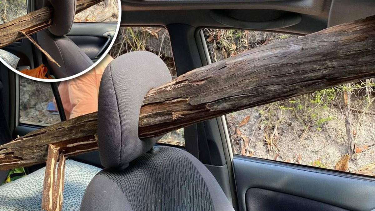 Australijskie nastolatki „szczęśliwie żyją” po tym, jak drzewo uderzyło w przednią szybę samochodu w K’Gari