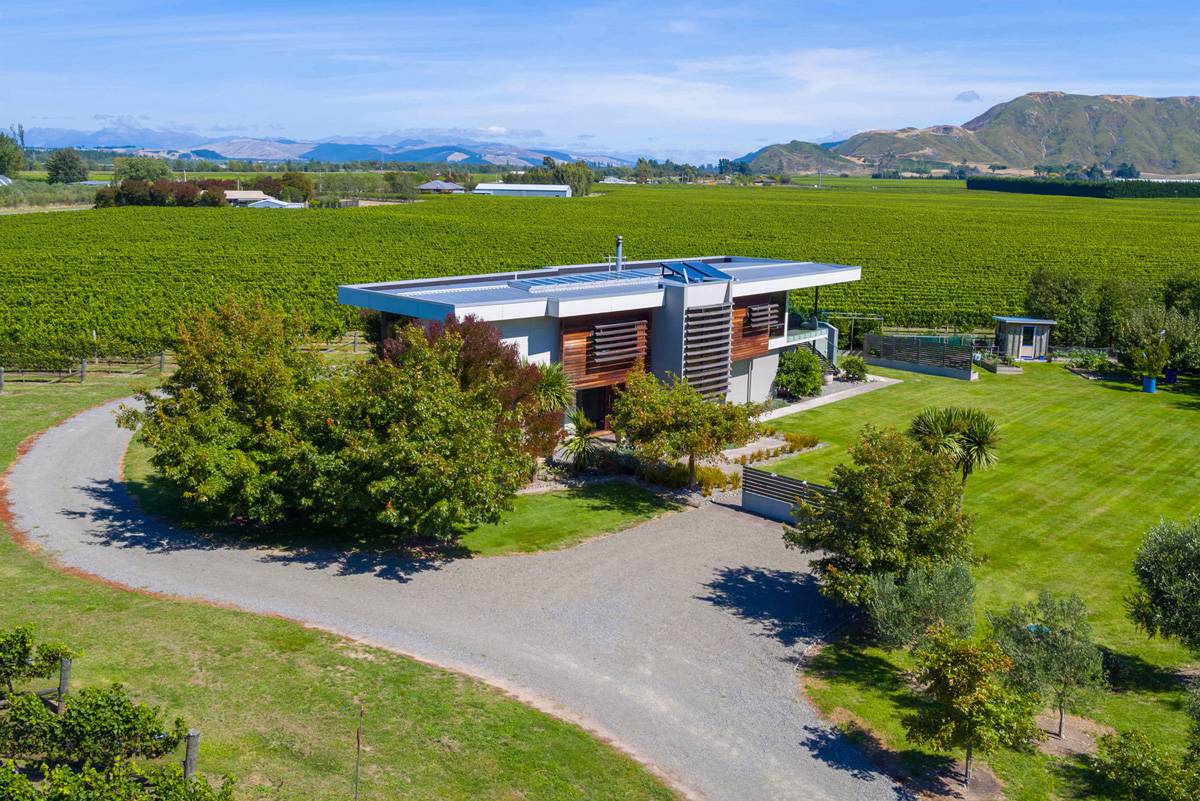 Productive Marlborough Vineyard For Sale Nz Herald