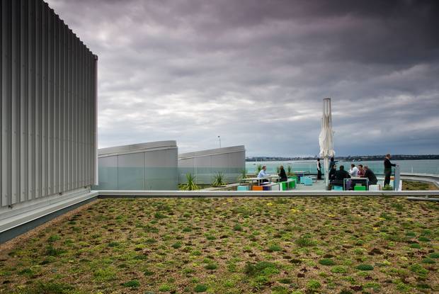 Green Roofs Could Bring Hidden Costs Nz Herald