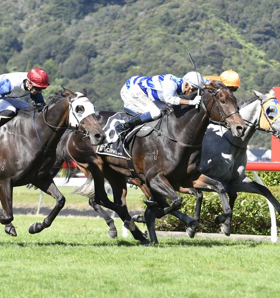 Racing: Champion jockey chooses to go his own way in Classic - NZ