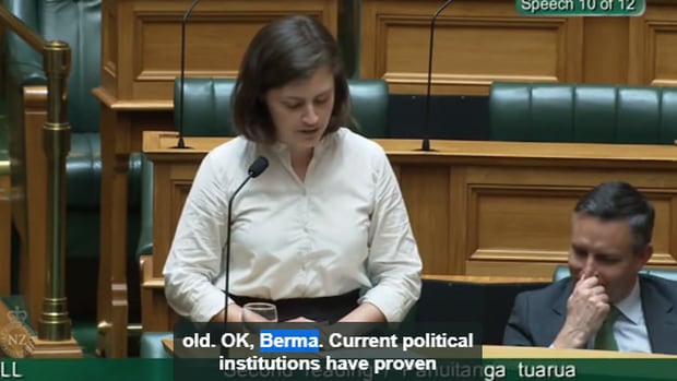 Green MP Chlöe Swarbrick dropped a casual 'OK boomer' in response to being interrupted during her speech in parliament. 
