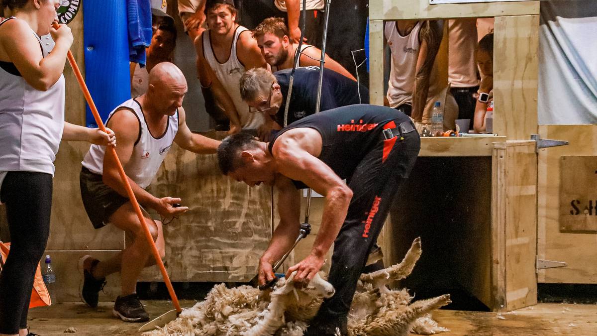 Shearing: Two World Record attempts confirmed for December