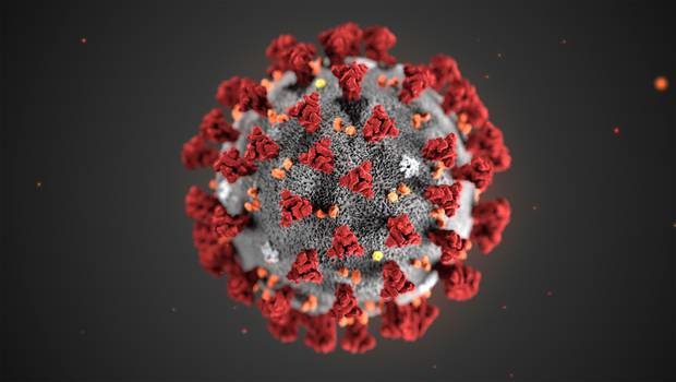 This illustration provided by the Centers for Disease Control and Preventionshows the 2019 Novel Coronavirus (2019-nCoV). Photo / via AP