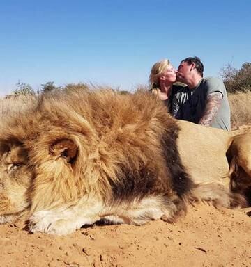 Photo Of Canadian Couple Kissing Over Lion They Shot Dead