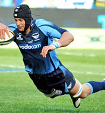 Rugby Spies The Limit For Bionic Bull Nz Herald