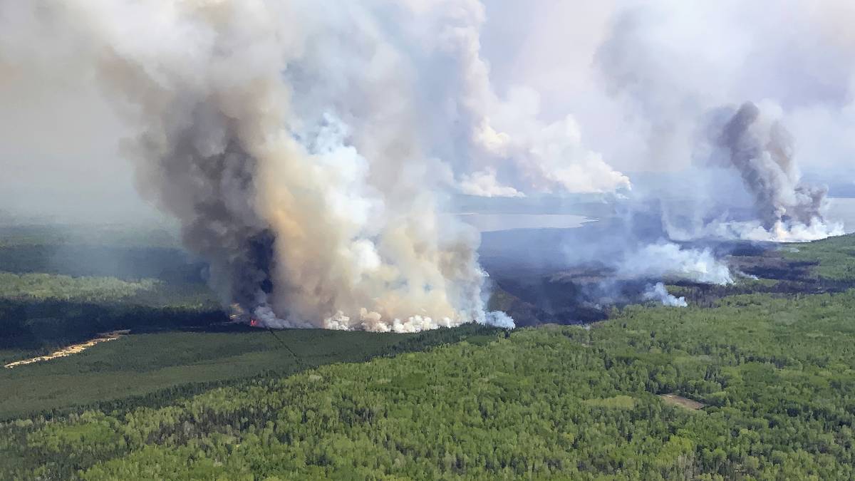 Strażacy z Zatoki Obfitości zostali wysłani do pomocy służbom ratunkowym w walce z pożarami lasów w Kanadzie