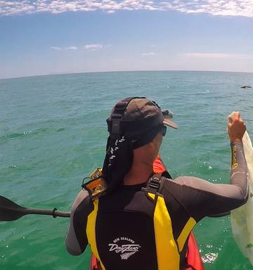 Trash Town Dumped Rubbish Danger To Local Marine Life Nz Herald